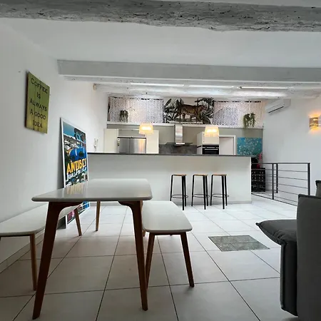 Loft Duplex Vieil Апартаменти Антіб